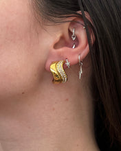 Load image into Gallery viewer, Rose Earrings
