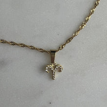 Load image into Gallery viewer, Zodiac Necklace - Waterfall chain
